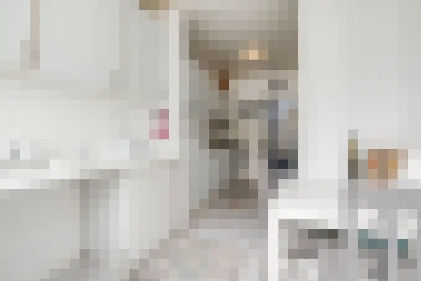 Roggeveenstraat 6 Veghel thumbnail 17
