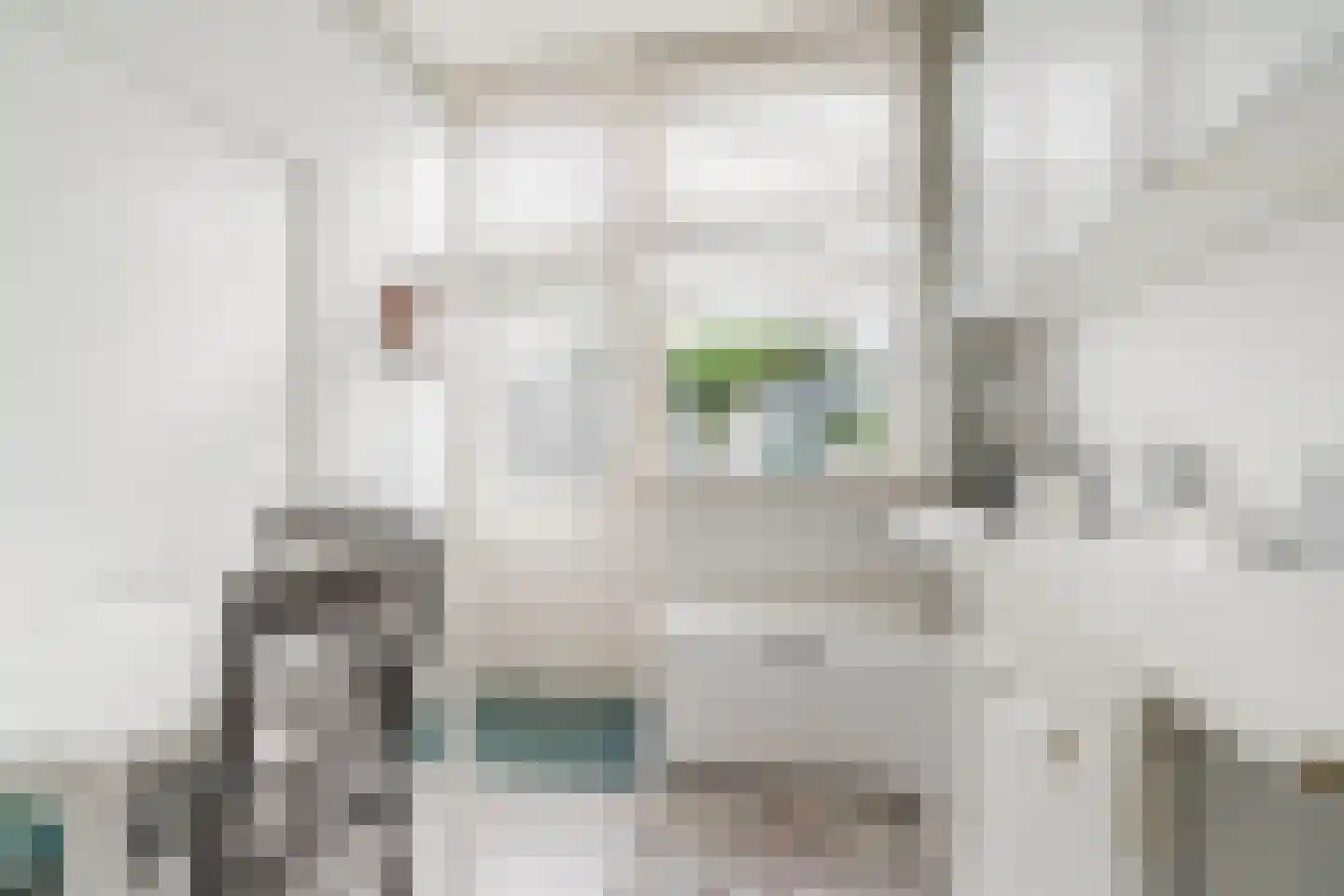 Roggeveenstraat 6 Veghel thumbnail 18