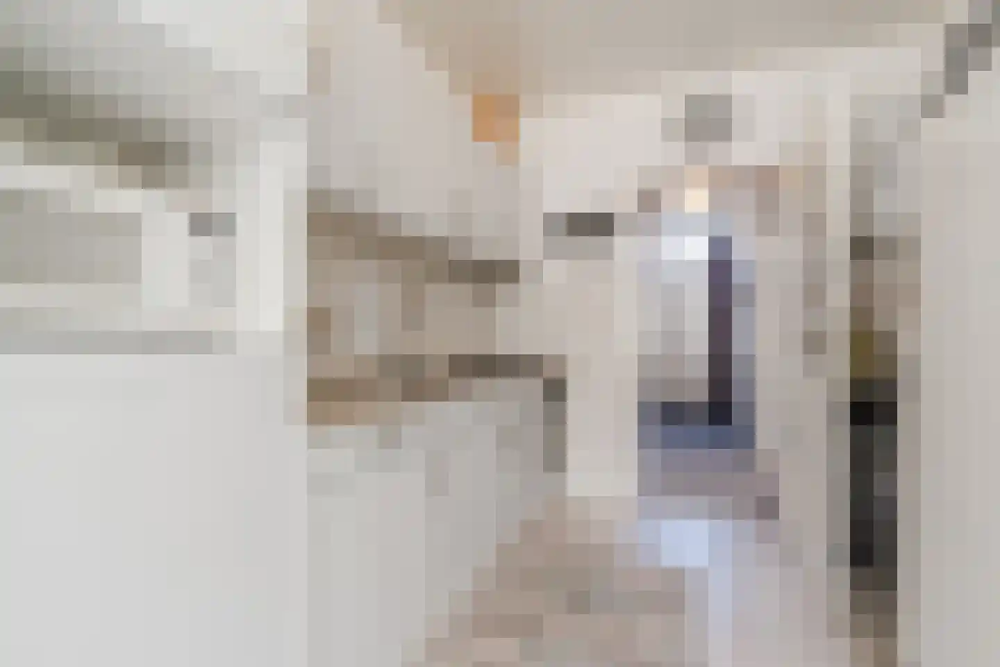 Roggeveenstraat 6 Veghel thumbnail 20