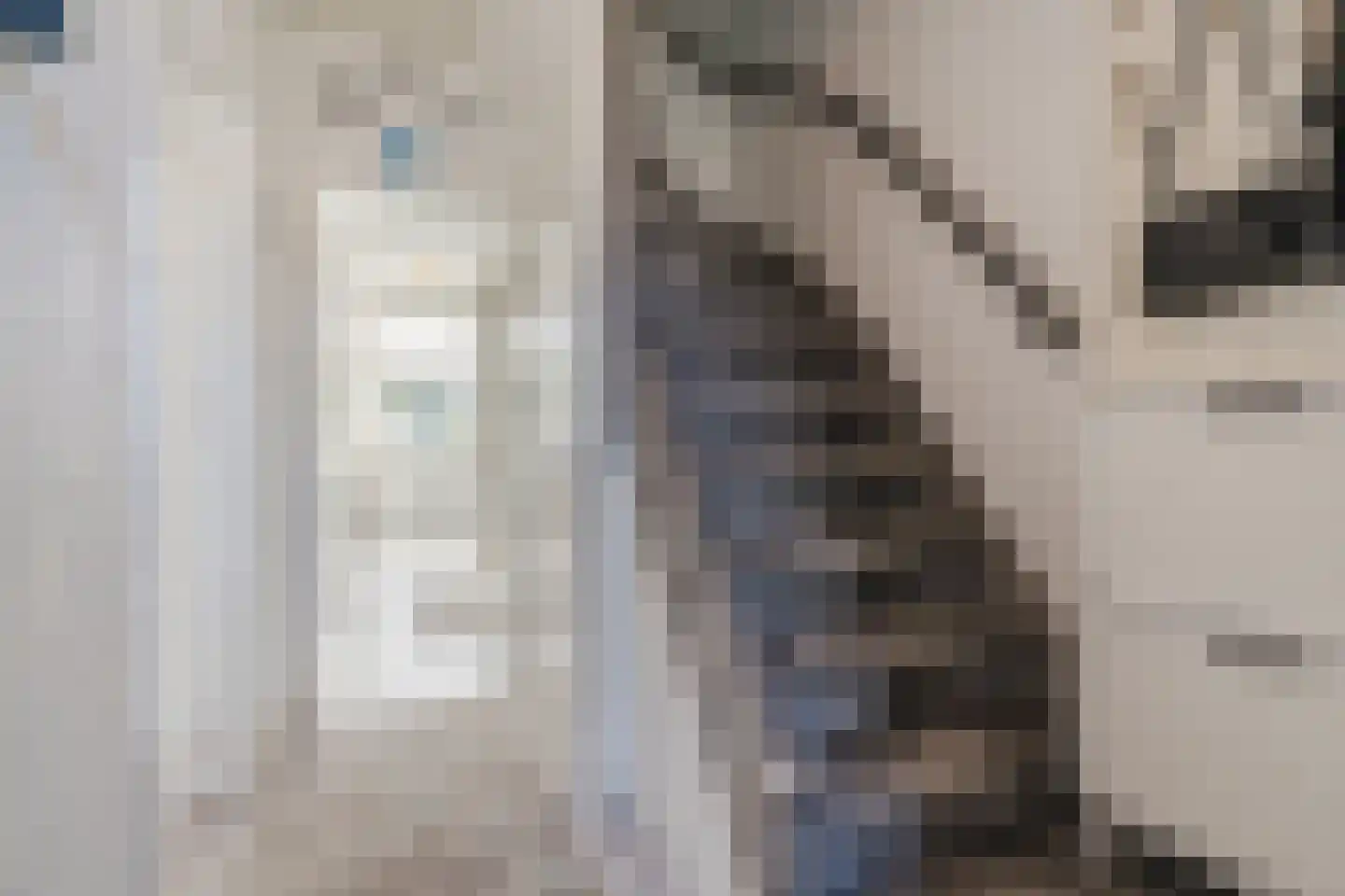 Roggeveenstraat 6 Veghel thumbnail 21