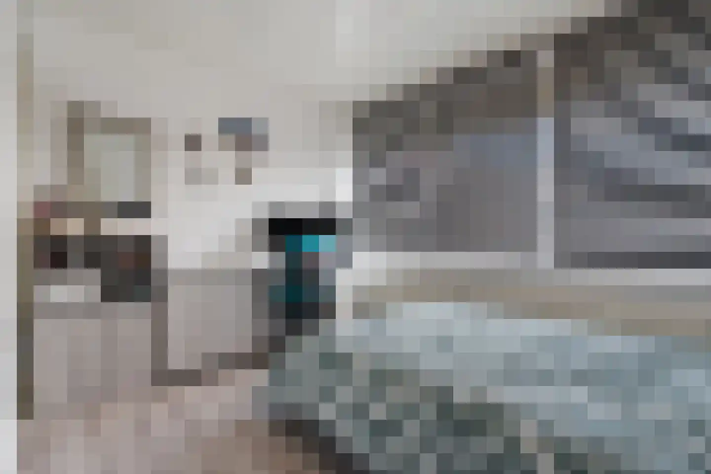 Roggeveenstraat 6 Veghel thumbnail 26
