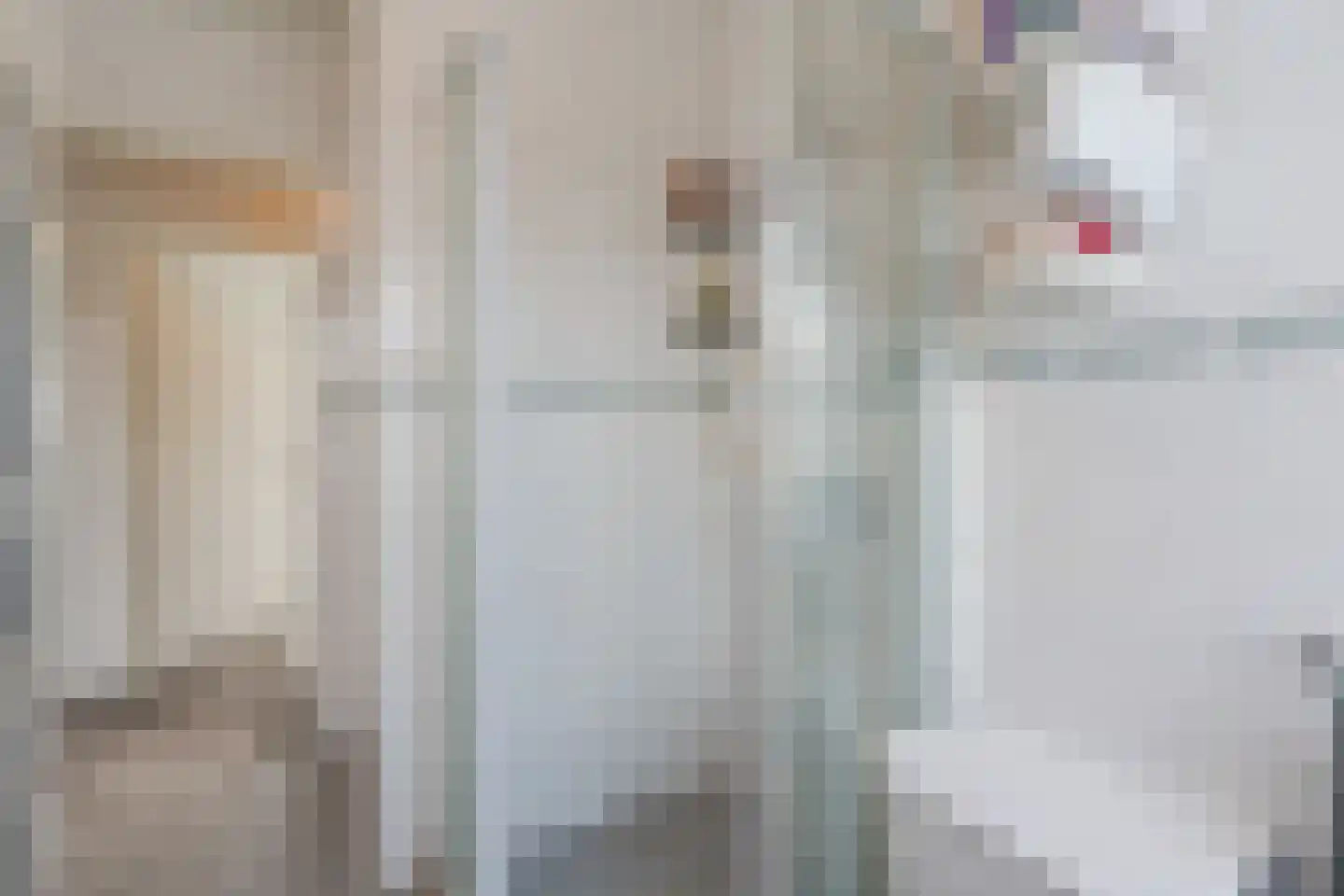 Roggeveenstraat 6 Veghel thumbnail 30