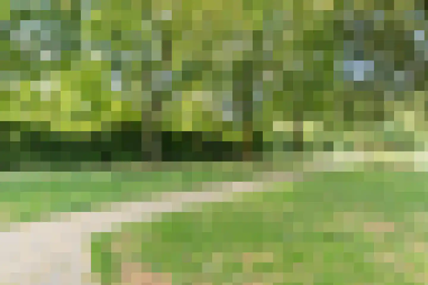 Roggeveenstraat 6 Veghel thumbnail 37