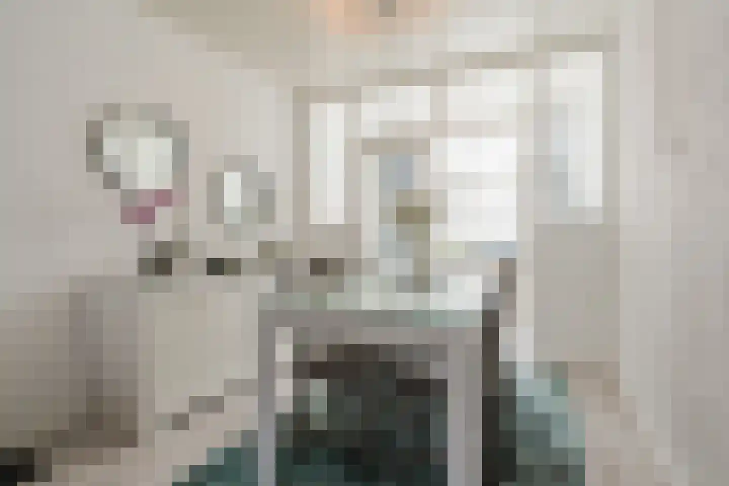 Roggeveenstraat 6 Veghel thumbnail 4