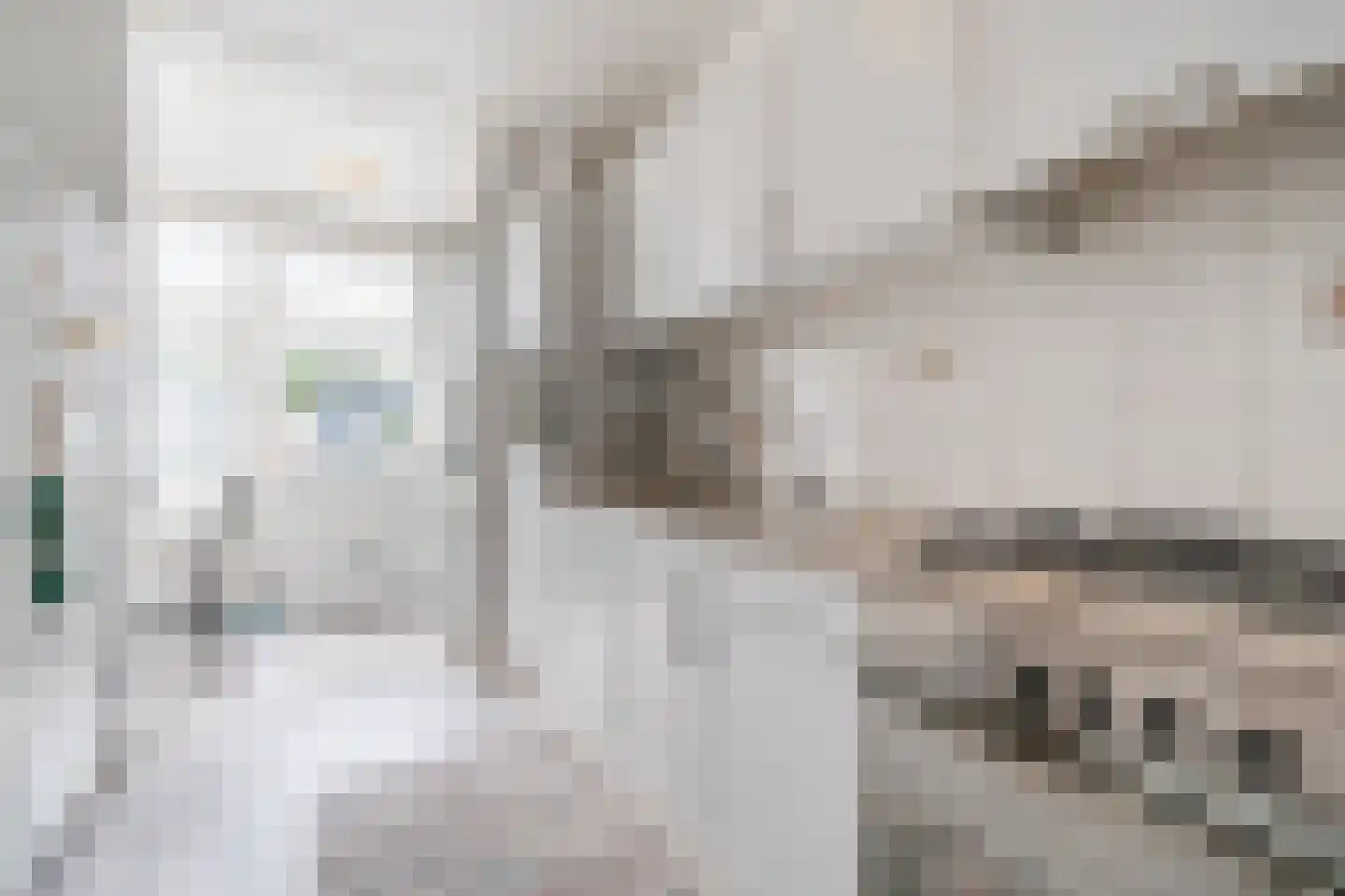 Roggeveenstraat 6 Veghel thumbnail 5