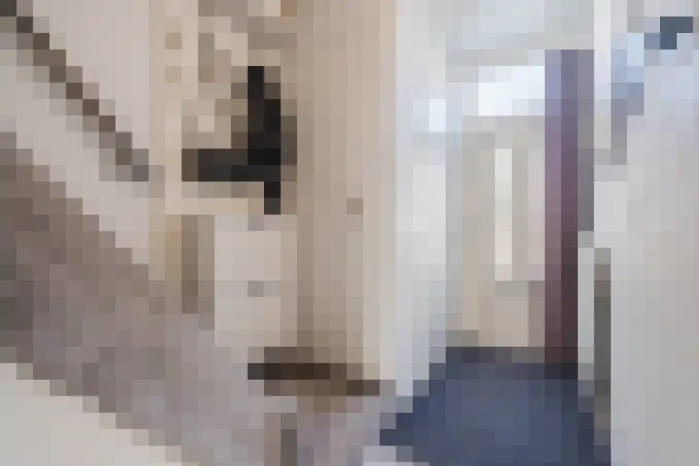 Roggeveenstraat 6 Veghel thumbnail 8