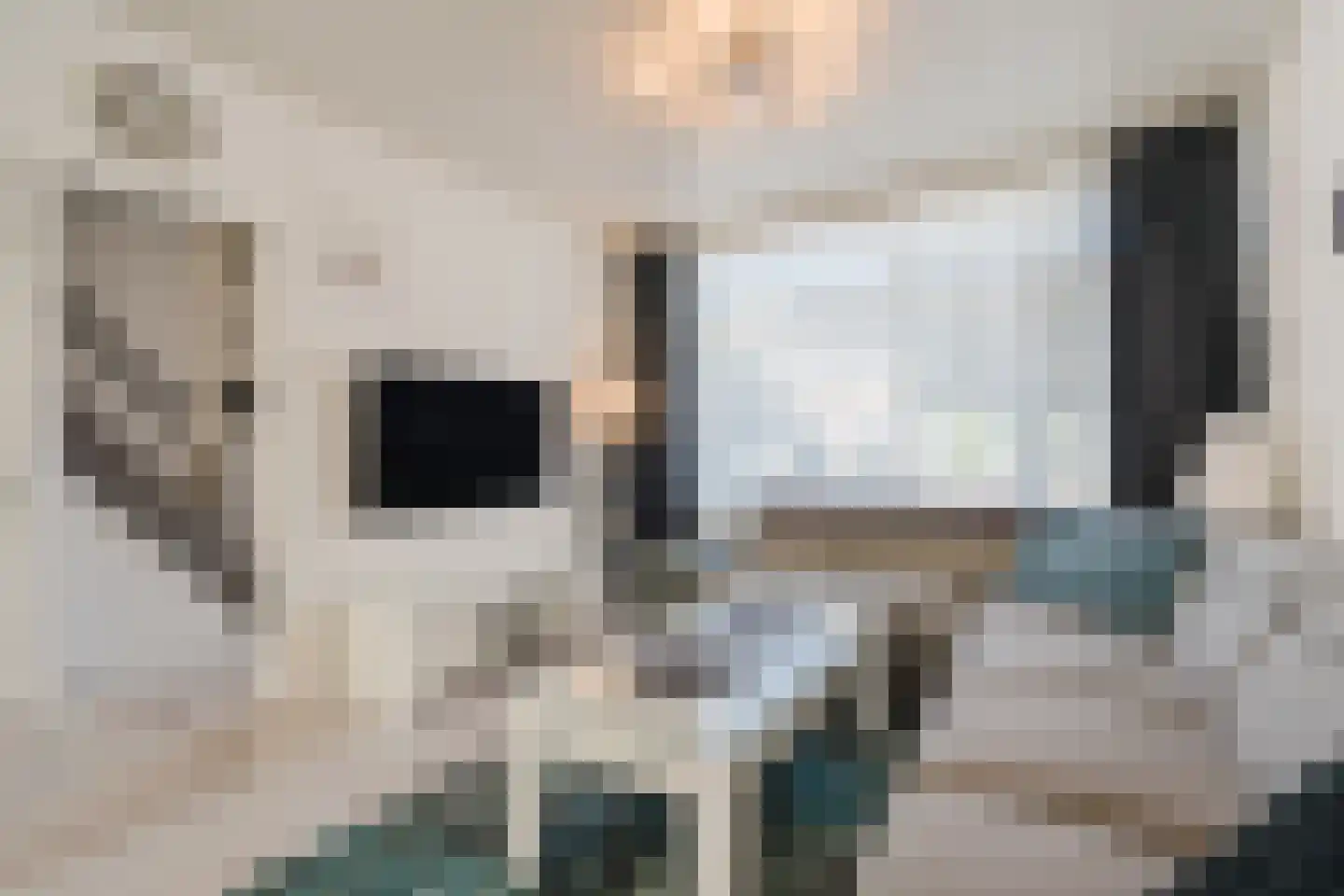 Roggeveenstraat 6 Veghel thumbnail 9
