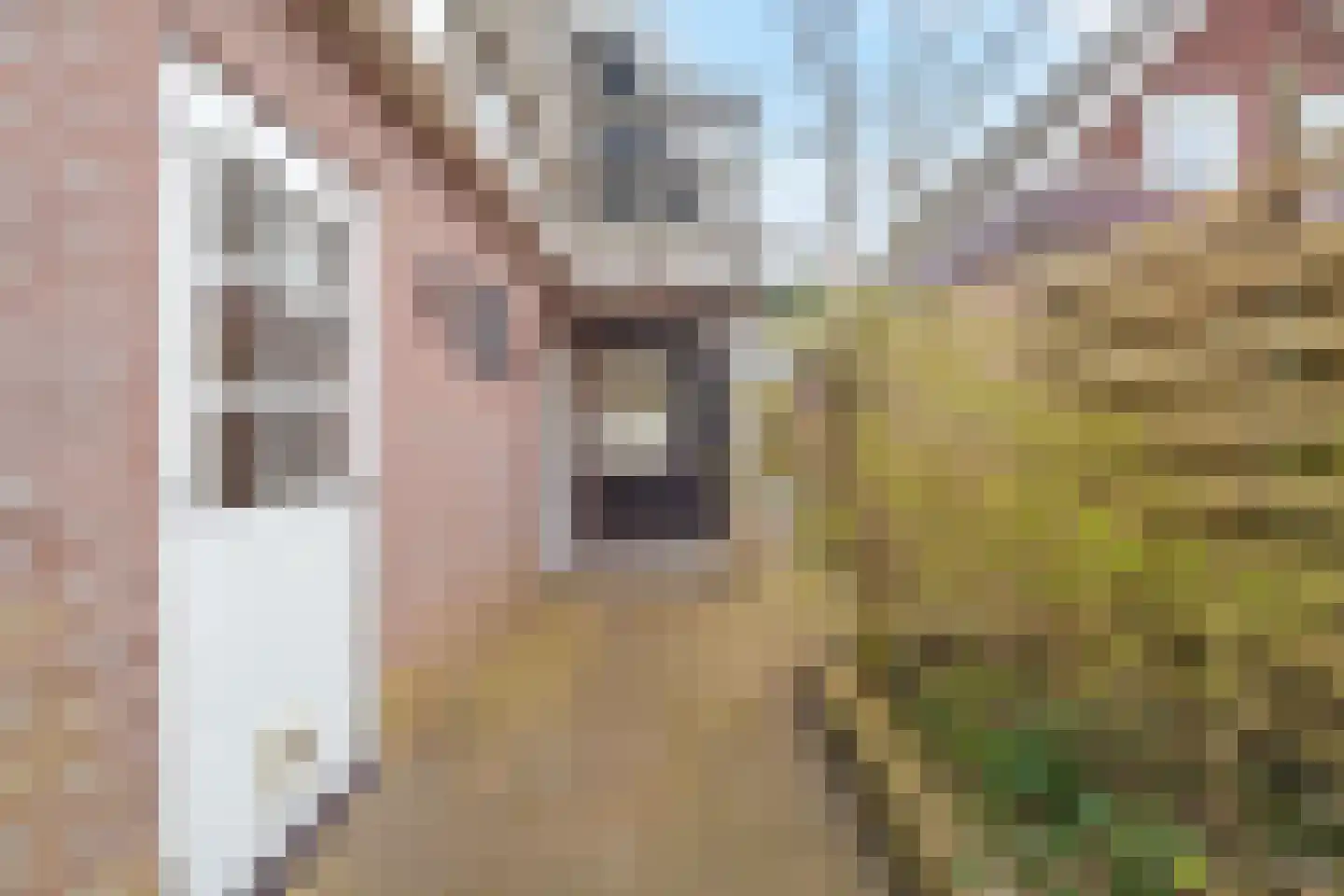 Roggeveenstraat 7 Schagen thumbnail 31