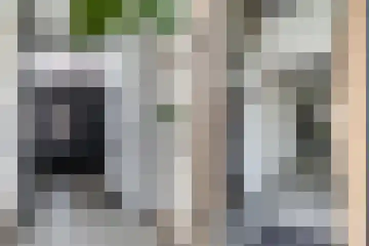 Roggeveld 15 Gilze thumbnail 10