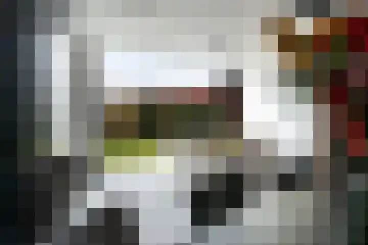 Roggeveld 15 Gilze thumbnail 15
