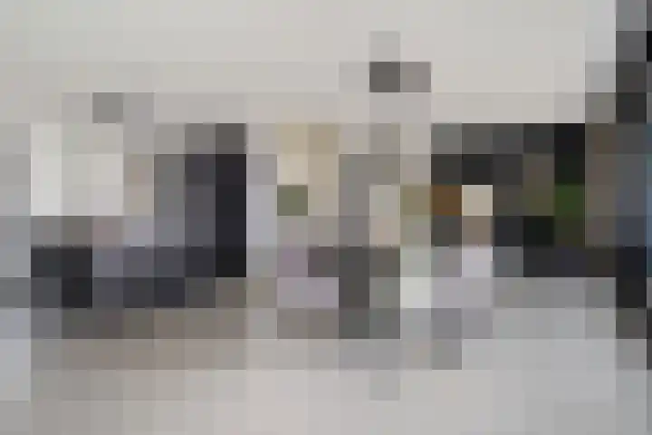 Roggeveld 15 Gilze thumbnail 16