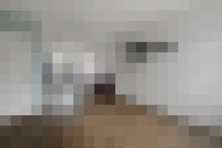 Roggeveld 15 Gilze thumbnail 17