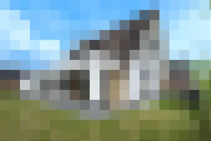Roggeveld 15 Gilze thumbnail 34