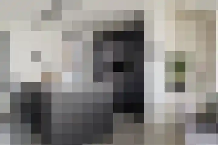 Roggeveld 15 Gilze thumbnail 4