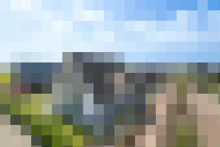 Roggeveld 15 Gilze thumbnail 60