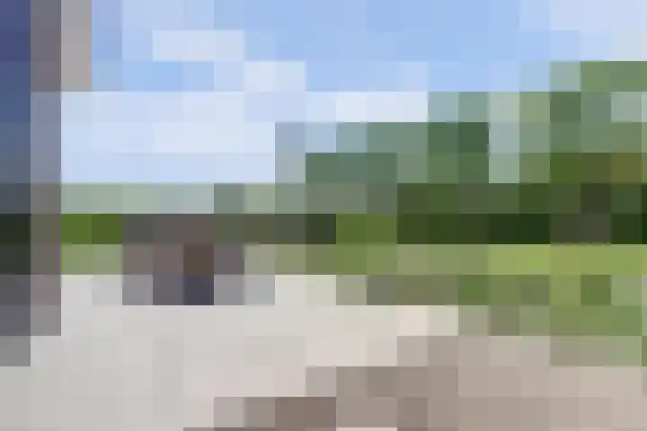 Roggeveld 17 Gilze thumbnail 45