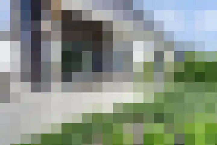 Roggeveld 17 Gilze thumbnail 47
