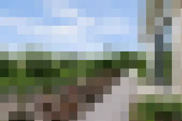 Roggeveld 17 Gilze thumbnail 48