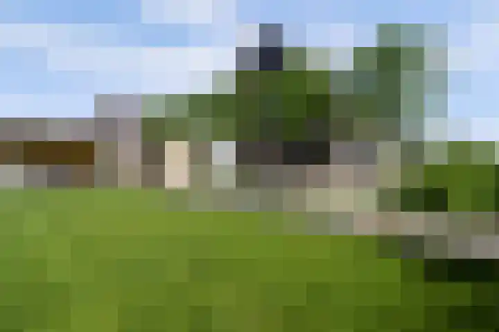 Roggeveld 17 Gilze thumbnail 49