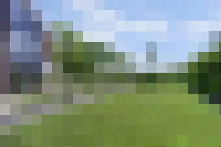 Roggeveld 17 Gilze thumbnail 51