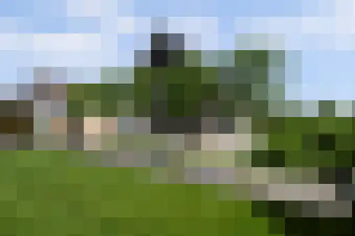 Roggeveld 17 Gilze thumbnail 53