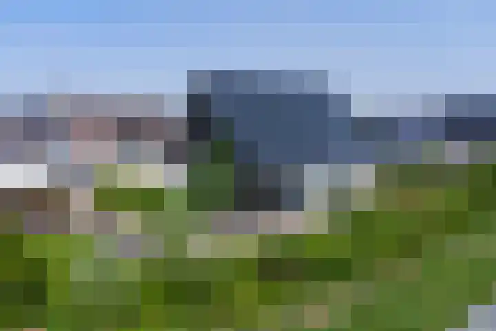 Roggeveld 17 Gilze thumbnail 54