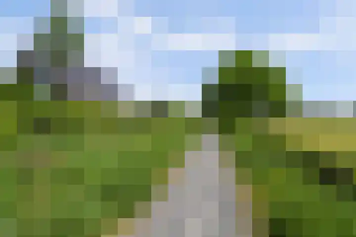 Roggeveld 17 Gilze thumbnail 56