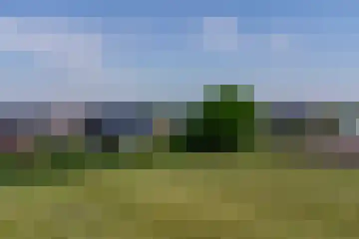 Roggeveld 17 Gilze thumbnail 57