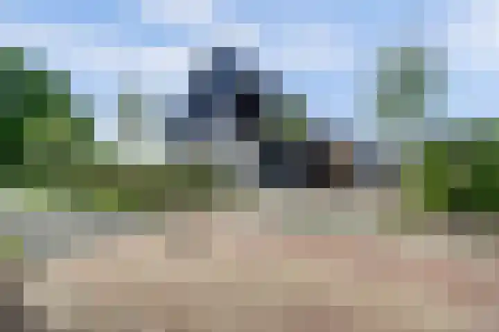 Roggeveld 17 Gilze thumbnail 58
