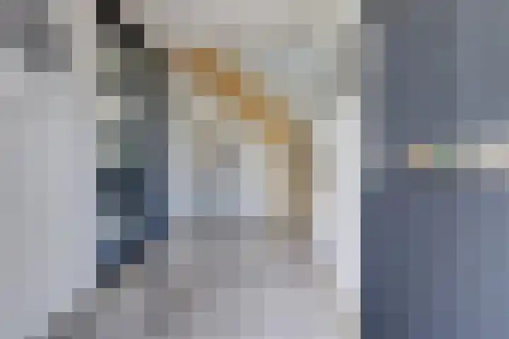 Roggeveld 17 Gilze thumbnail 6
