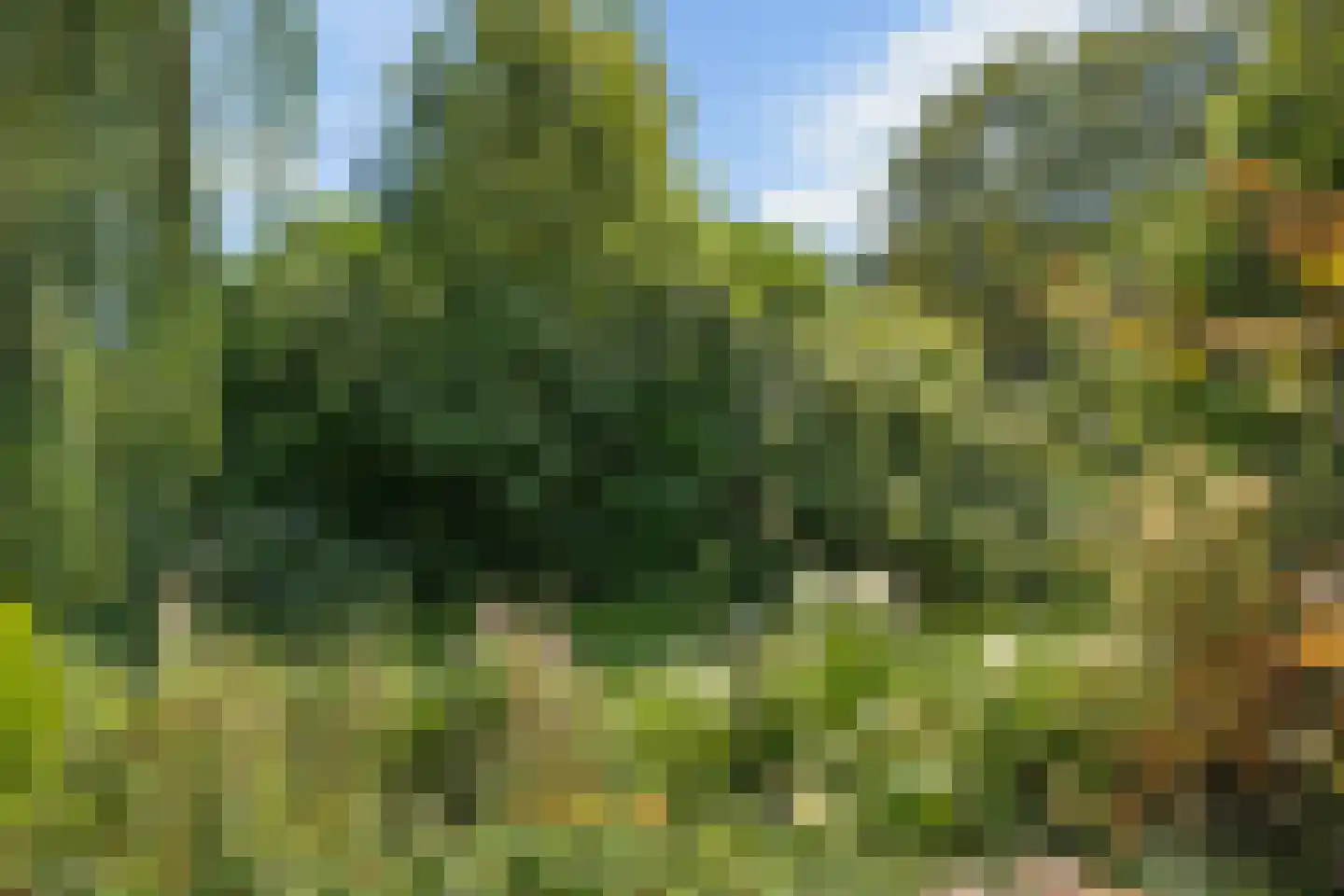 Roggeveld 18 Veenendaal thumbnail 4