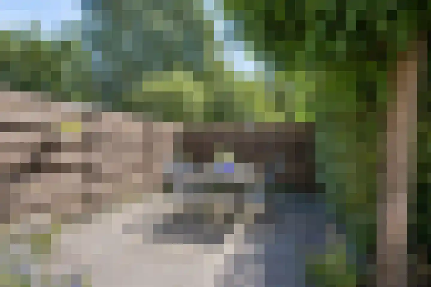 Roggeveld 18 Veenendaal thumbnail 44