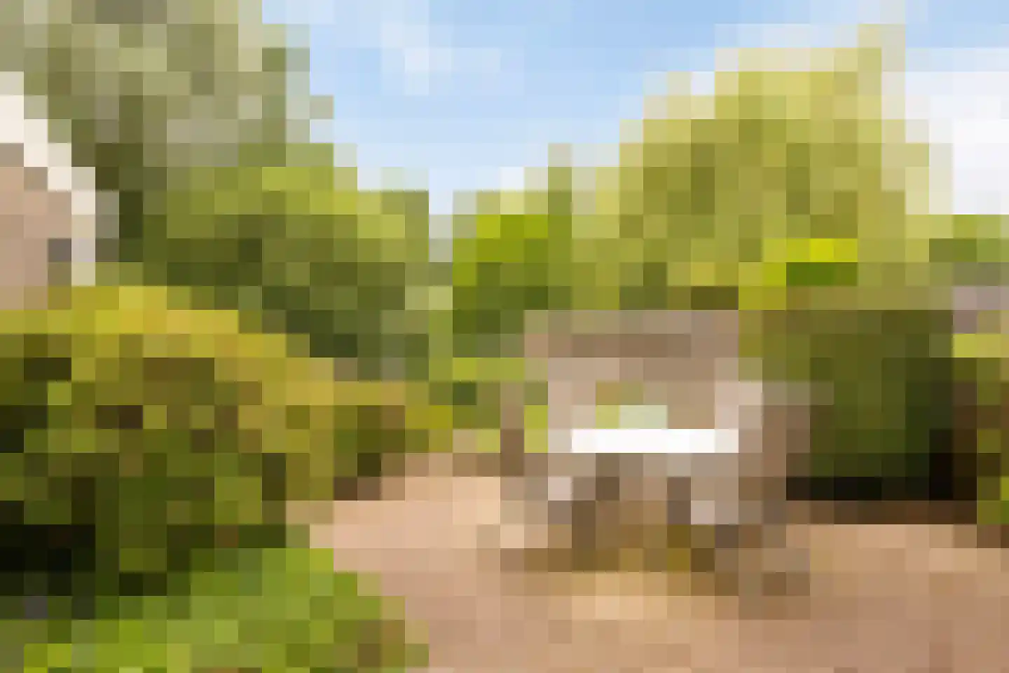 Roggeveld 20 Veenendaal thumbnail 39