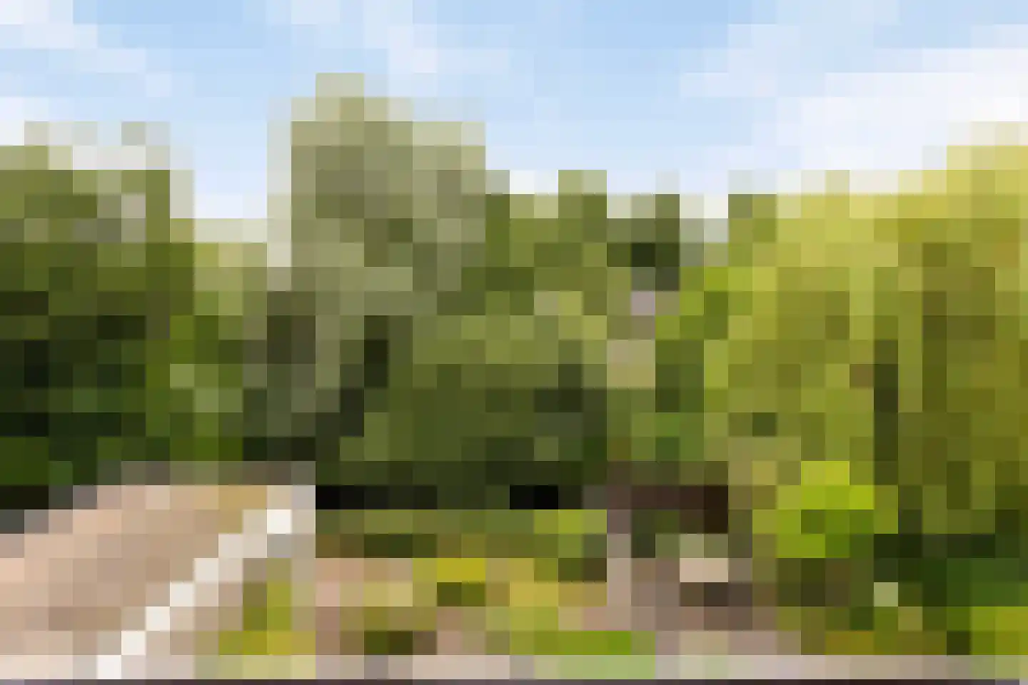 Roggeveld 20 Veenendaal thumbnail 42