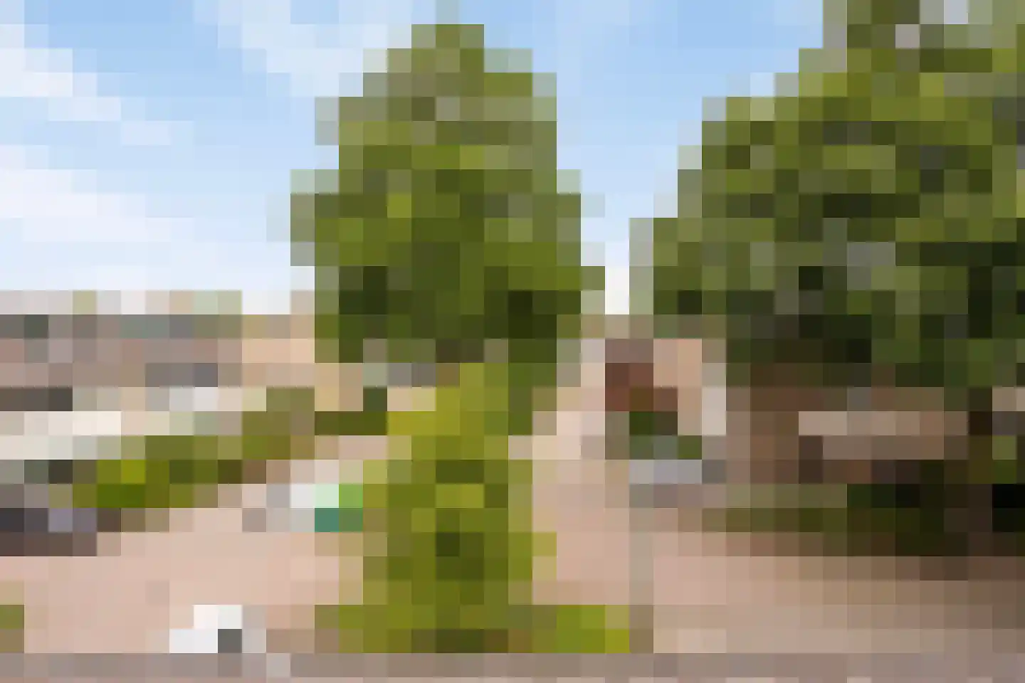 Roggeveld 20 Veenendaal thumbnail 46
