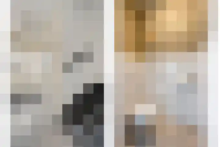 Roggeveld 25 Staphorst foto 2