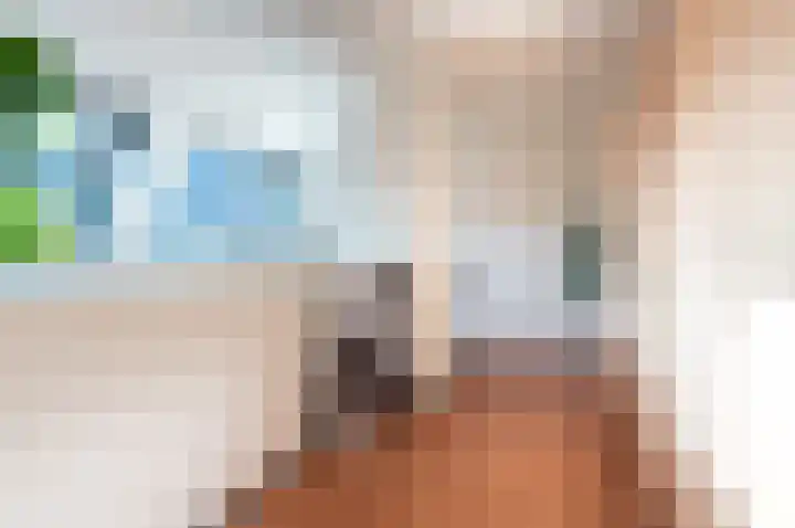 Roggeveld 25 Staphorst thumbnail 20