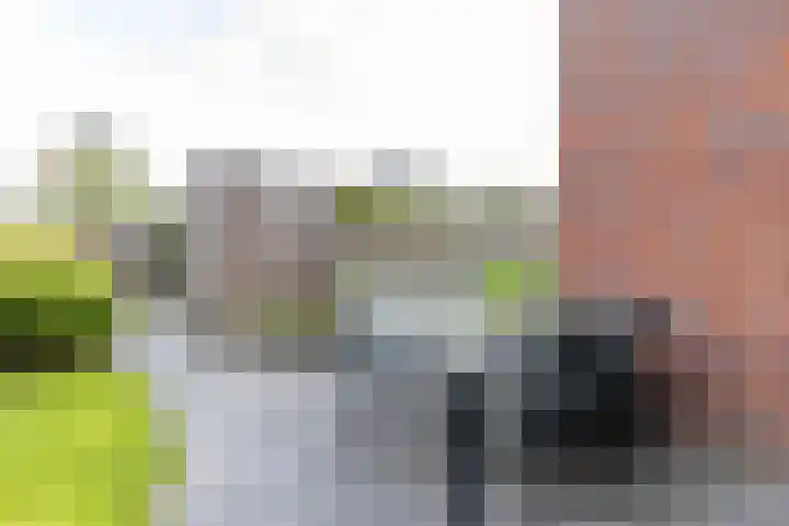 Roggeveld 32 Haren Gn thumbnail 25