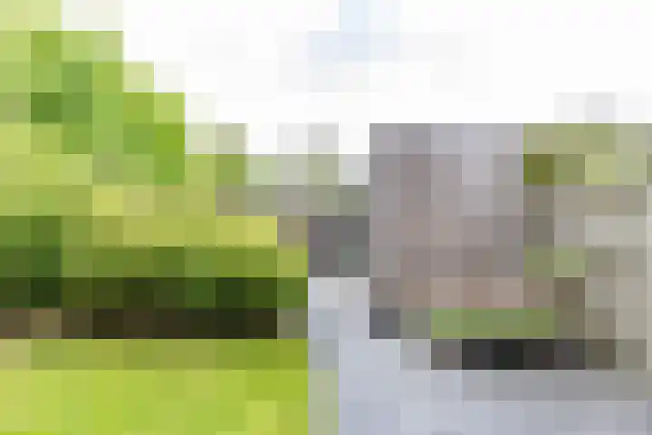 Roggeveld 32 Haren Gn thumbnail 26