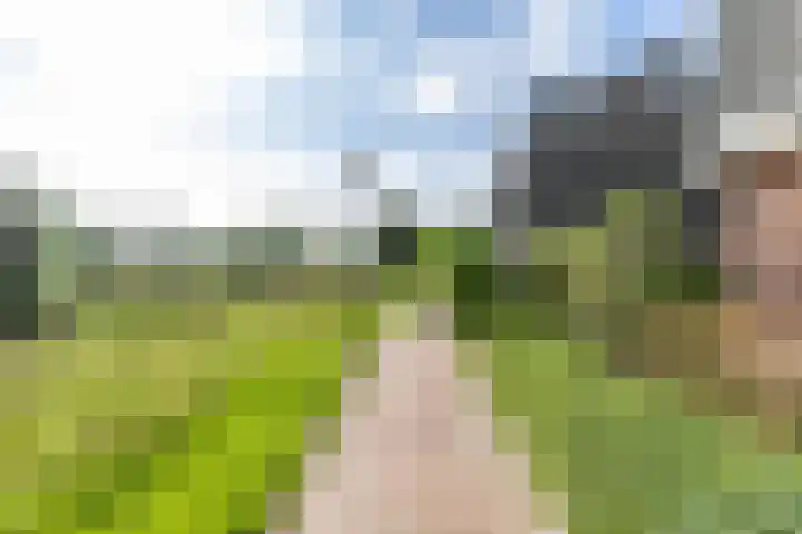 Roggeveld 32 Haren Gn thumbnail 4