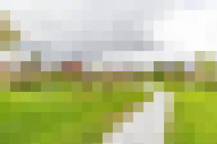 Roggeveld 32 Haren Gn thumbnail 5
