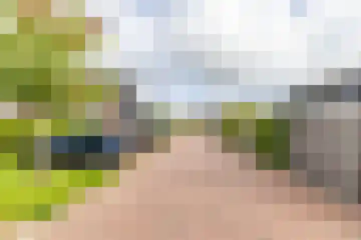 Roggeveld 32 Haren Gn thumbnail 6
