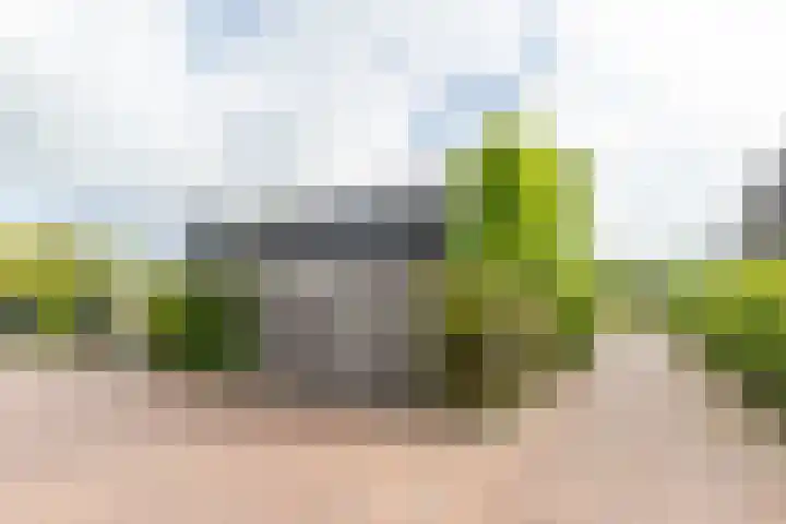 Roggeveld 32 Haren Gn thumbnail 7