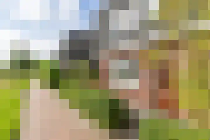 Roggeveld 32 Haren Gn thumbnail 8