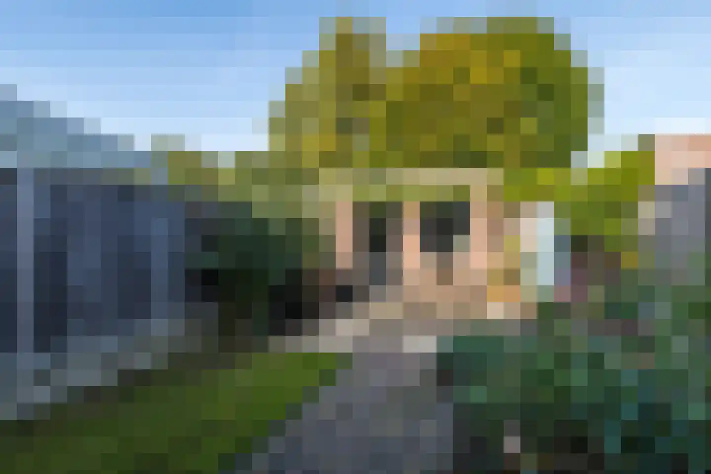 Roggeveld 43 Hulsberg thumbnail 26