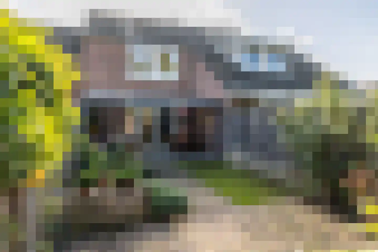 Roggeveld 43 Hulsberg thumbnail 27