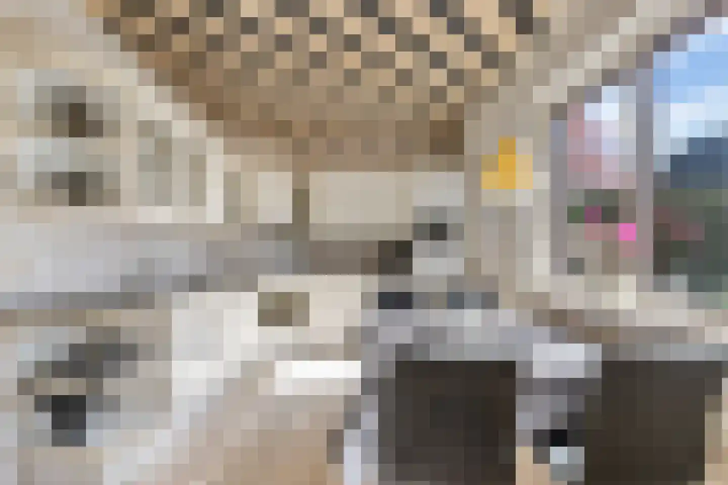 Roggeveld 5 Didam thumbnail 10
