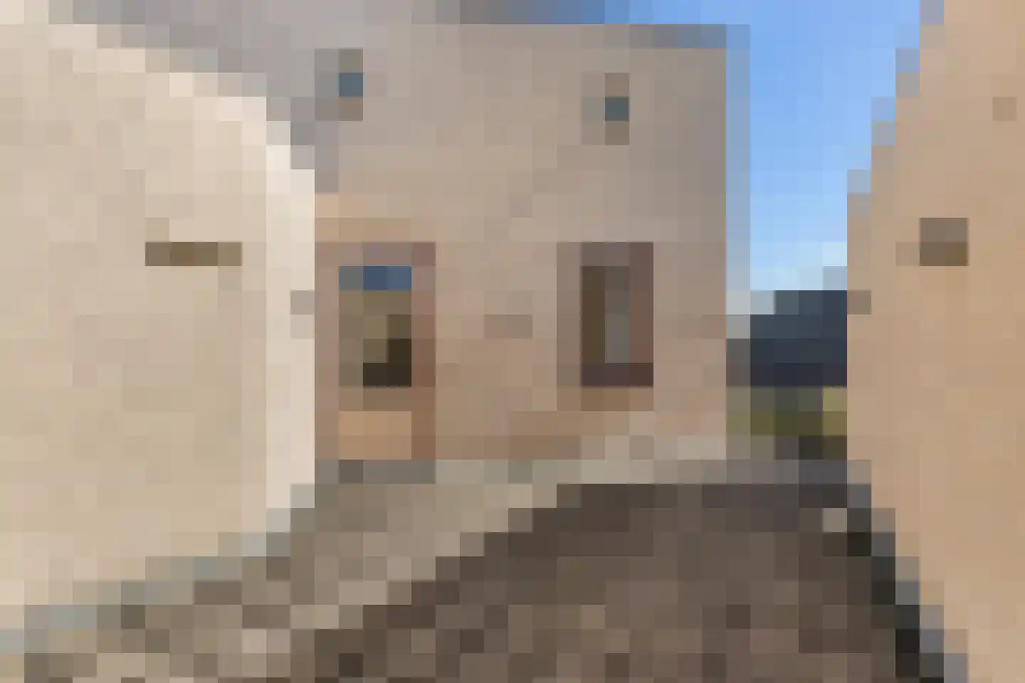 Roggeveld 5 Didam thumbnail 34