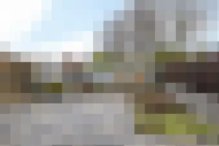 Roggeveld 51 Hulsberg thumbnail 25