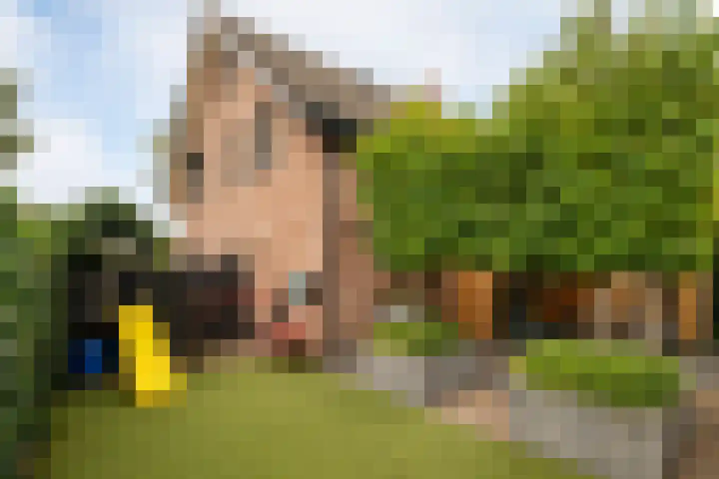 Roggeweg 32 Elspeet thumbnail 5